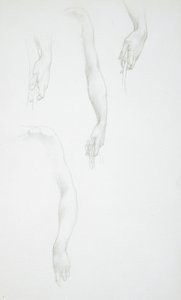 Studies van armen en handen (voorkant); Studie van een vrouwelijk torso (achterkant)