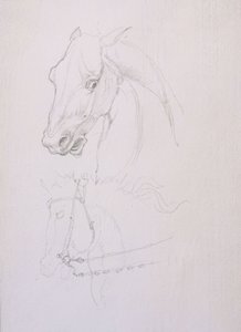 Studie van een paardenhoofd