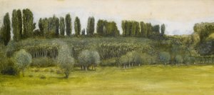 Landschap met wilgen en populieren, studie