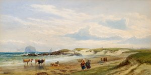 The Bass Rock door Edward Duncan