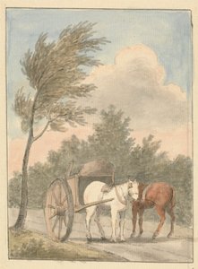 Paardenkar door Edward Francis Burney