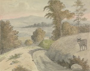 Uitzicht in Surrey