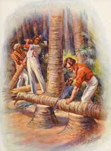 Illustratie voor Masterman Ready door Captain Marryat (kleurenlitho) door Edward Frederick Skinner