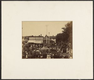 [Olifanten lopen door de stad, Maple City].