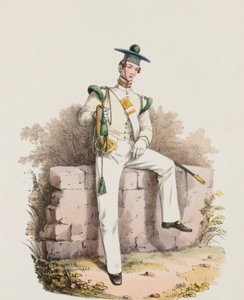 Trompetter van de zeventiende, ongedresseerd