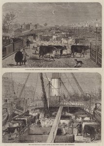 Vee voor de Kerstmarkt door Edward Hull