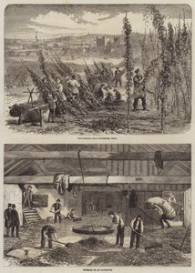 Hopplukken in Kent door Edward Hull