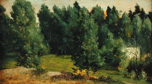 Een bebost landschap