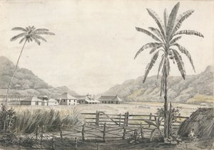 Een Uitzicht op Hall-head Suikerplantage, Jamaica