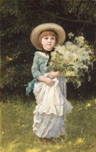 Moerasspirea