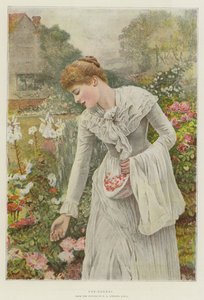 Potpourri
