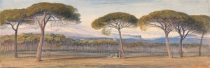 Een Uitzicht op de Pijnboombossen Boven Cannes door Edward Lear