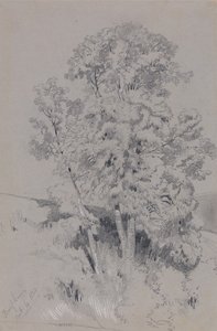  door Edward Lear