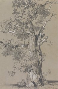 Parham, 13 oktober 1834 door Edward Lear