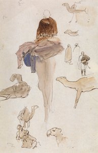 Studies van kamelen door Edward Lear