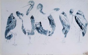 Studies van Ooievaars door Edward Lear