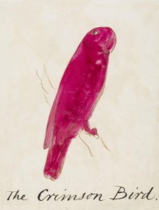 De Karmozijnrode Vogel, uit Zestien Tekeningen van Komische Vogels door Edward Lear