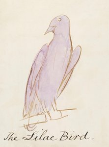 De Lila Vogel, uit Zestien Tekeningen van Komische Vogels door Edward Lear