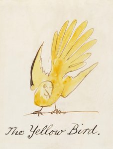 De Gele Vogel, uit "Zestien Tekeningen van Komische Vogels" door Edward Lear