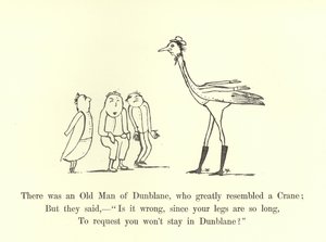Er was een Oude Man uit Dunblane, die sterk leek op een Kraanvogel
