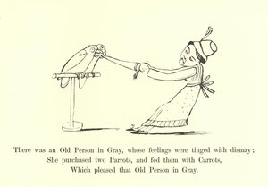 Er was een Oude Persoon in Grijs, wiens gevoelens getint waren met ontzetting door Edward Lear