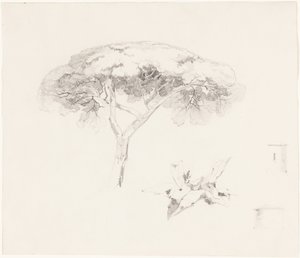  door Edward Lear