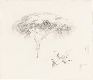 Parasol den en andere studies, 1839-1845 door Edward Lear