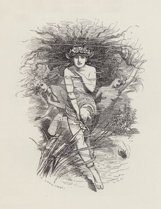 Illustratie voor The Water-Babies door Charles Kingsley (gravure) door Edward Linley (after) Sambourne