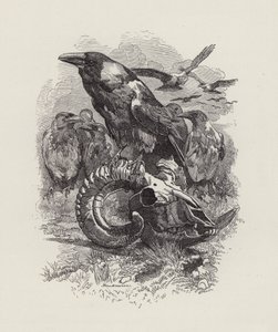 Illustratie voor The Water-Babies door Charles Kingsley
