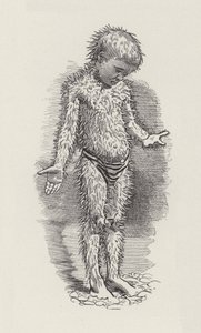 Illustratie voor The Water-Babies door Charles Kingsley door Edward Linley (after) Sambourne