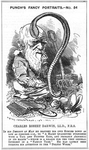 Charles Darwin (1809-1882) Engelse natuuronderzoeker. Evolutie door natuurlijke selectie. Cartoon door Edward Linley Sambourne (1844-1910) in de Fancy Portrait-serie in Punch, Londen 1881, het jaar waarin Darwin The Formation of Vegetable Mould publiceerde
