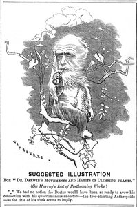 Charles Darwin, Engelse natuuronderzoeker, 1875