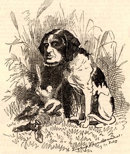 William GGV Vernon Harcourt (1827-1904) door Edward Linley Sambourne