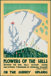 Bloemen van de heuvels, op de hoogvlakten van Surrey