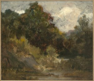 Landschap (bomen)