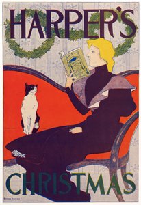 Poster voor Harper