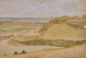 Landschap