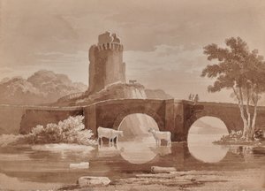 Landschap met brug en koeien