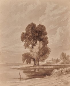 Landschap met bomen door Edward Pretty