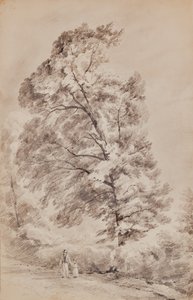 Landschap met Bomen