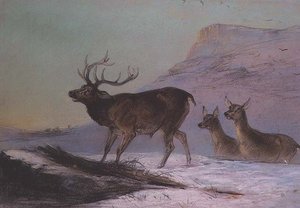 Winter door Edward Robert Smythe
