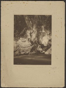 Apache-Zwarte Rivier (Bij de plataan) door Edward S. Curtis
