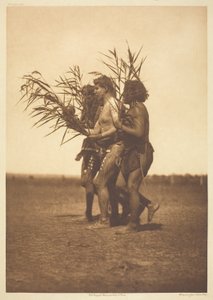 Arikara Medicijnceremonie - de Eenden door Edward S. Curtis