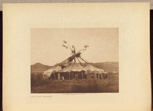 Grauwe Dageraad - Cheyenne