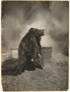 Laat de sluwe zwarte beer zijn dans doen door Edward S. Curtis