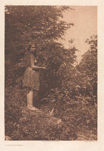 Portfolio IX, Platen 293-328