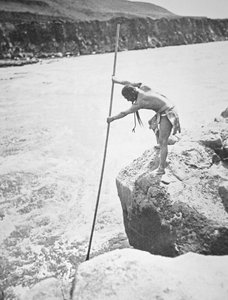 Chinook-mensen die zalm spiesen in de Columbia-rivier door Edward Sheriff Curtis