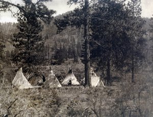 Indiaan van Amerika: kamp van de Spokan Indianen door Edward Sheriff Curtis