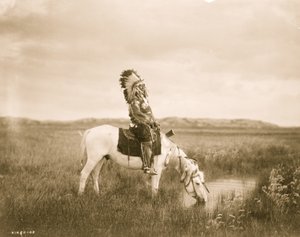 Oase in de Badlands 1905