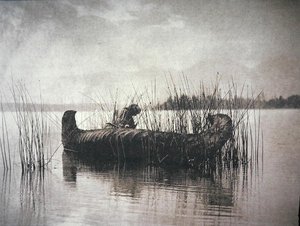 De Rietverzamelaar, Montana
